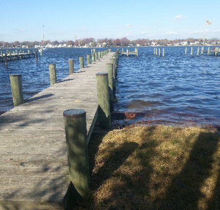 Lot 11 View